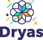 dryas