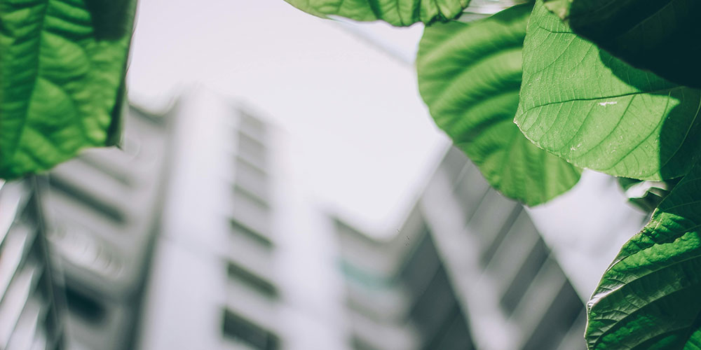 ville durable et iot