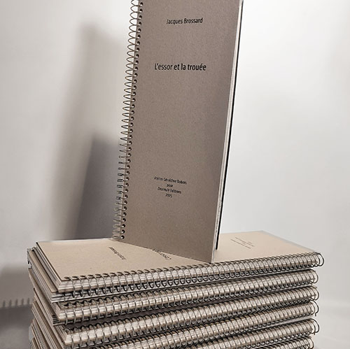 livre d'artiste L'essor et la trouée