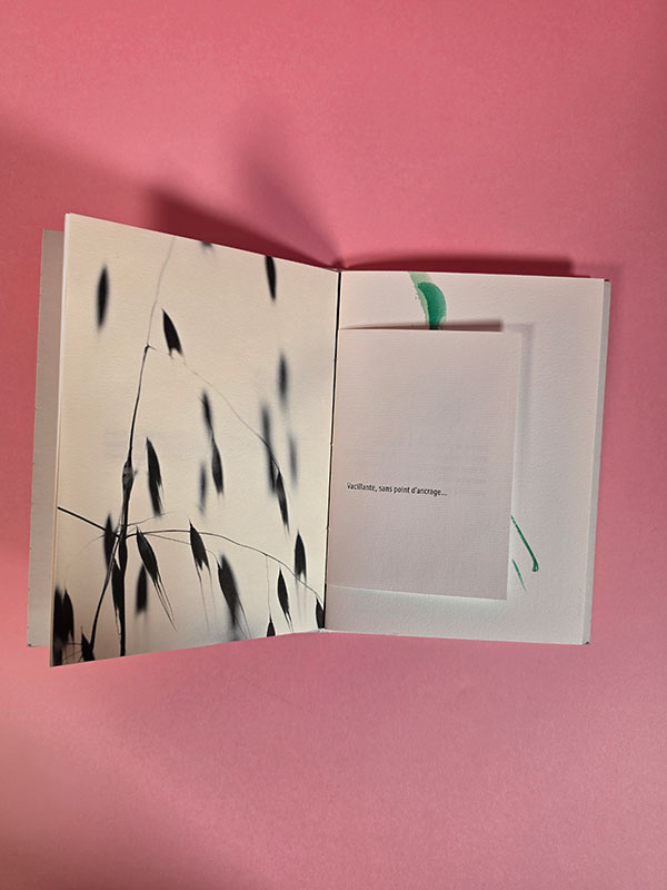 Triade  - poésie  photographie et peinture
