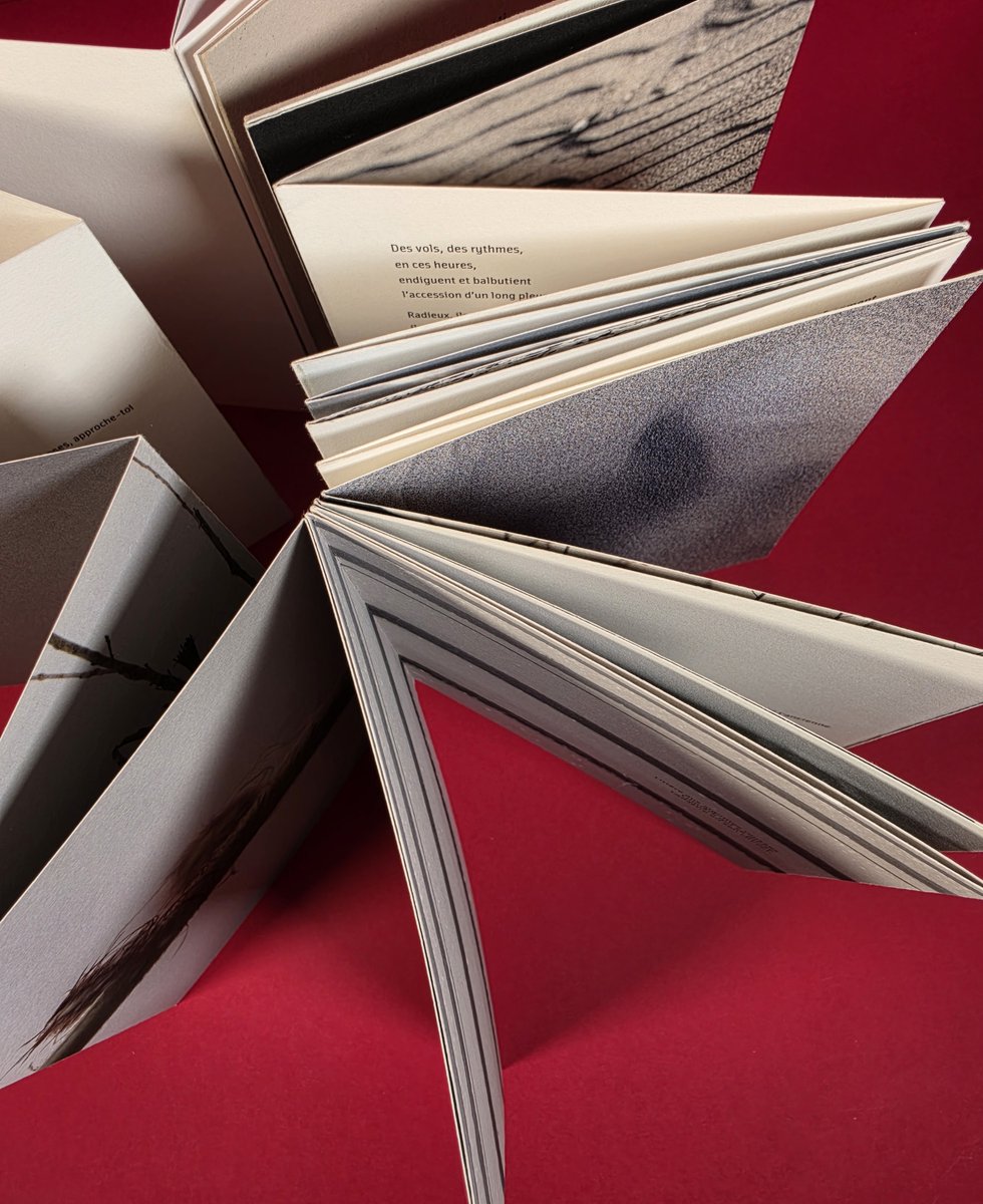 Le leporello déployé en étoile
