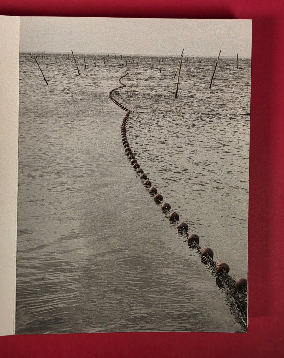 La ligne des bouées, en pleine page