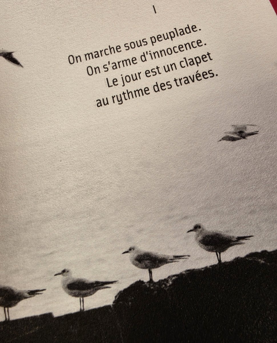 « On marche sous peuplade, on s'arme d'innocence »