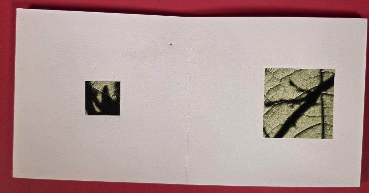 Deux vignettes découpées dans le blanc de la page