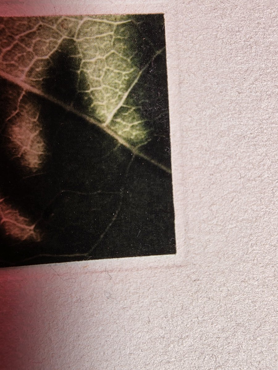 Le grain du papier, à fleur d'image