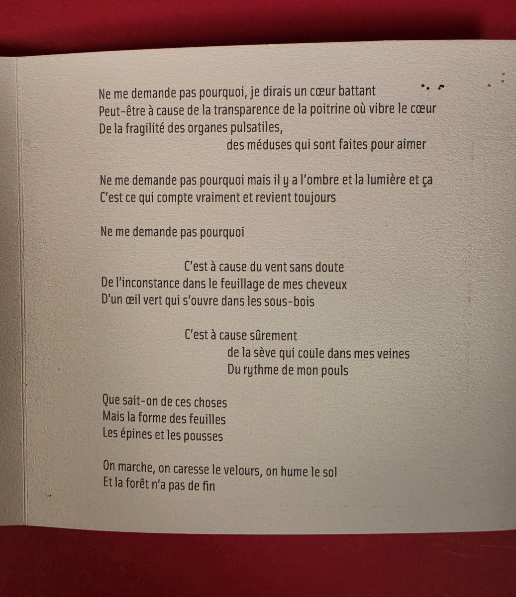 Le poème d'Eva Genicot, écrit à partir des images