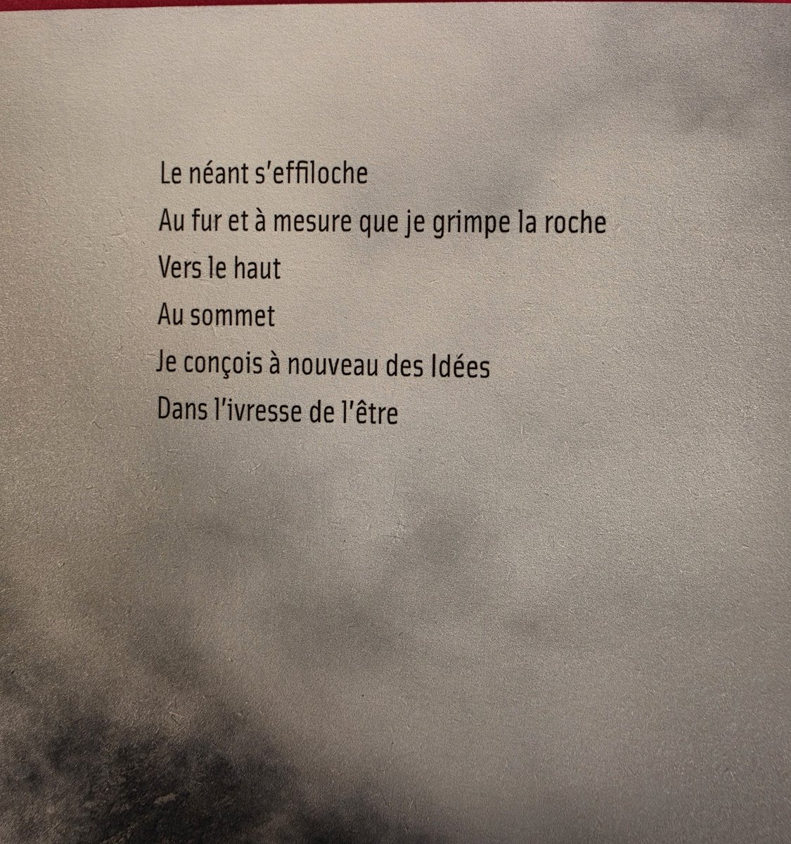 « Le néant s'effiloche au fur et à mesure que je grimpe la roche »