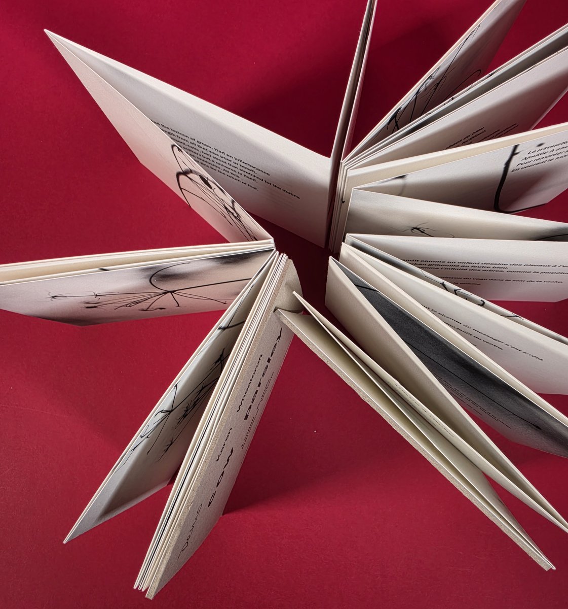 Le leporello déployé : le livre se déplie à l'infini