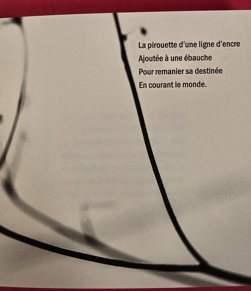 « La pirouette d'une ligne d'encre ajoutée à une ébauche »