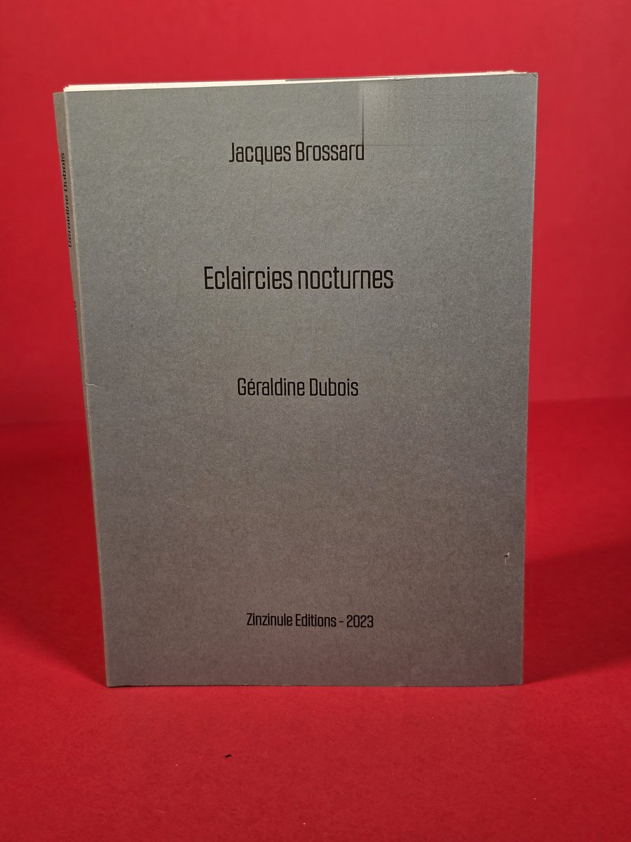 Couverture de Éclaircies nocturnes