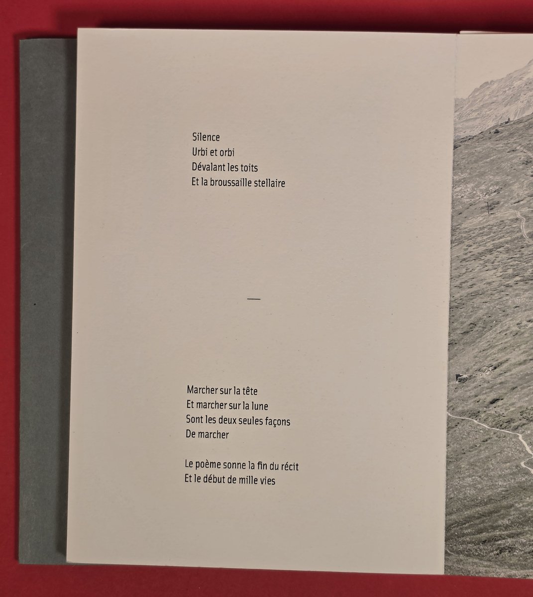 « Silence, urbi et orbi, dévalant les toits »