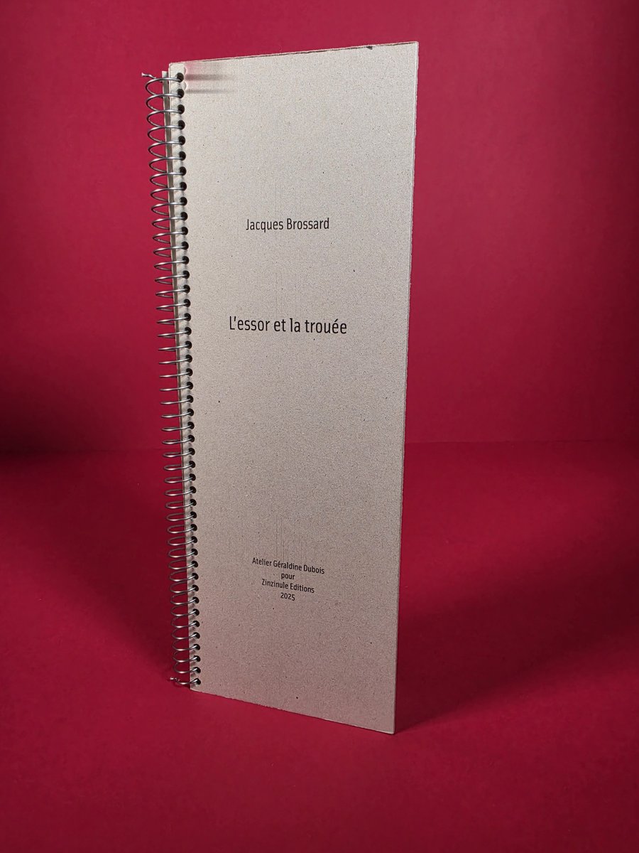 Couverture de L'essor et la trouée