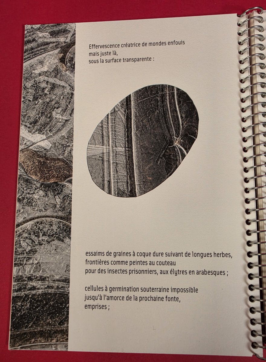 Les strates : le texte et l'image se superposent