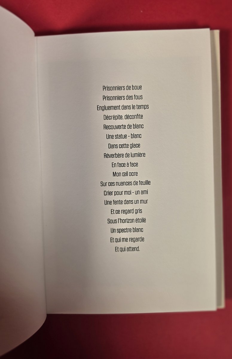 « Prisonniers de boue, prisonniers des fous »