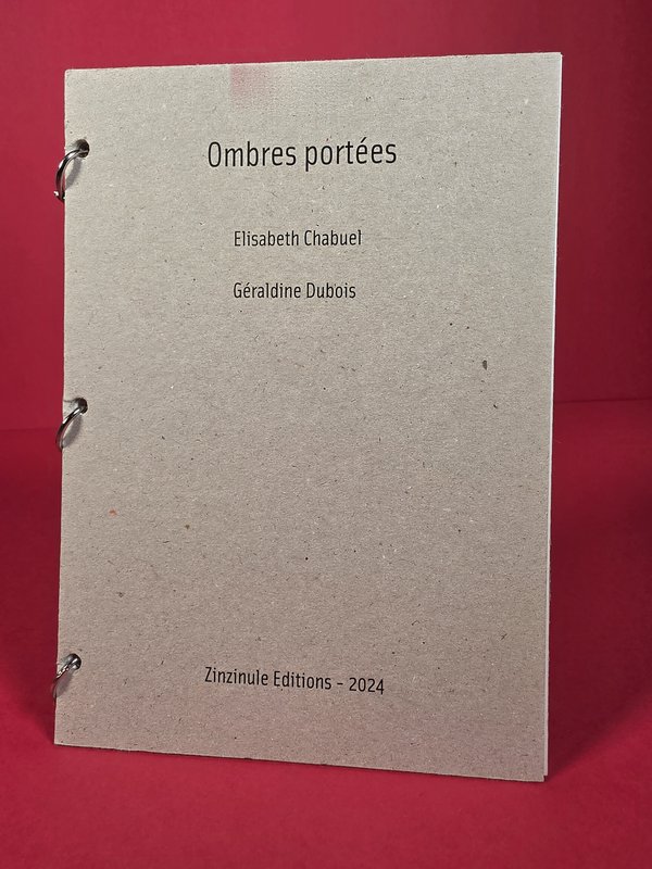 Couverture de Ombres portées