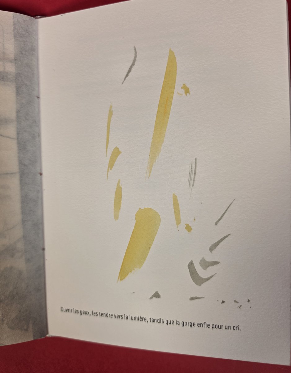 « Les yeux se tournent vers la lumière »