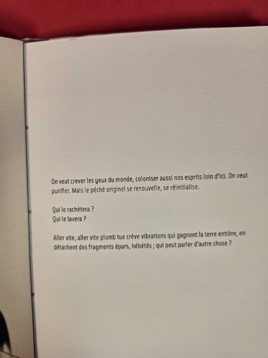 Le texte de Christine Duminy-Sauzeau