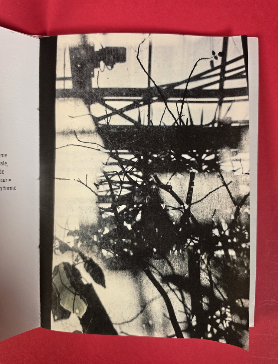 Une photographie de Géraldine Dubois, en pleine page