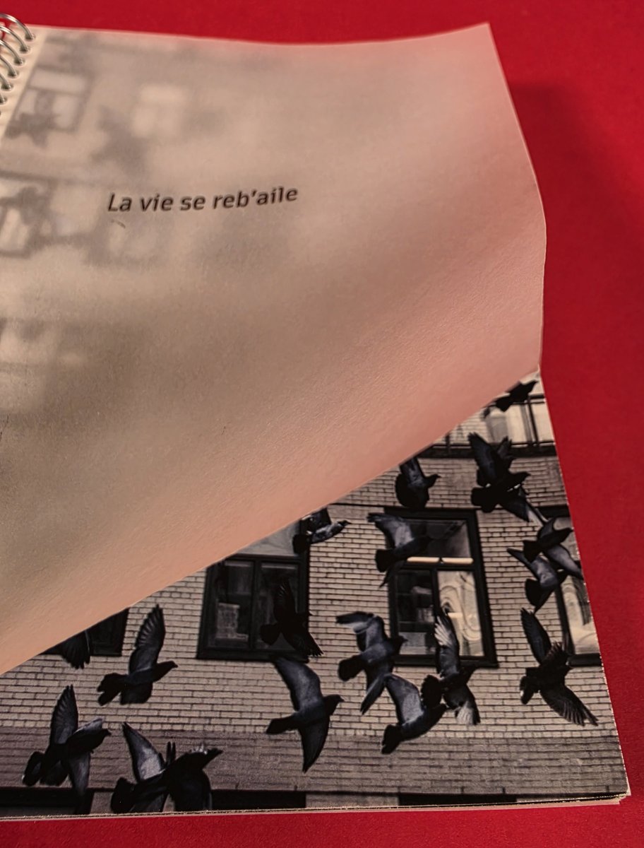 « La vie se reb'aile » — l'envol des pigeons