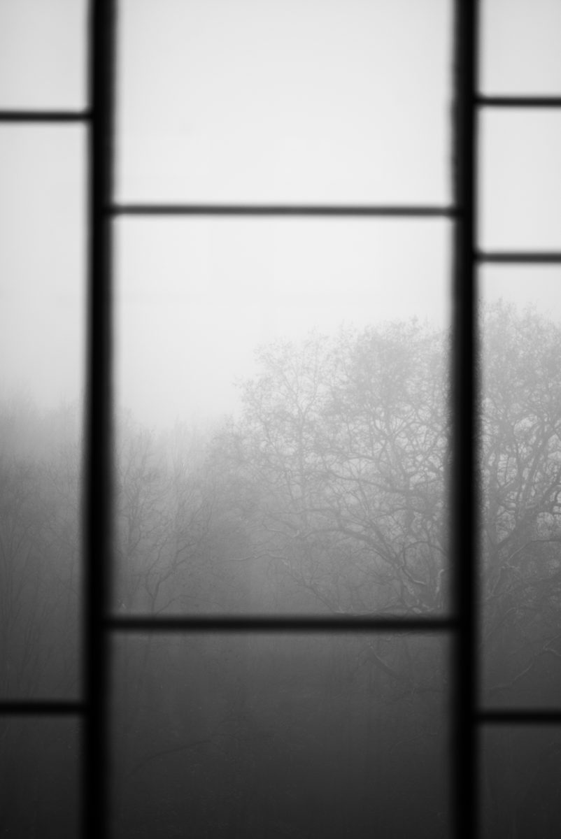 Verrière et arbres dans la brume